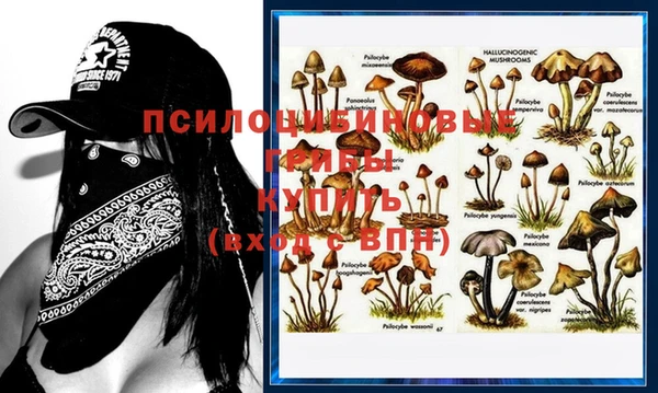 мет Вязники