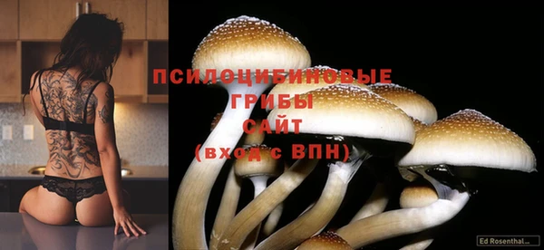 амфетамин Вязьма