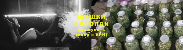 соль ск Вяземский