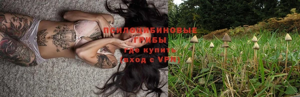 соль ск Вяземский