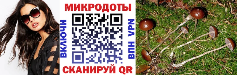 Галлюциногенные грибы Psilocybine cubensis  Купить закладки  Неман 